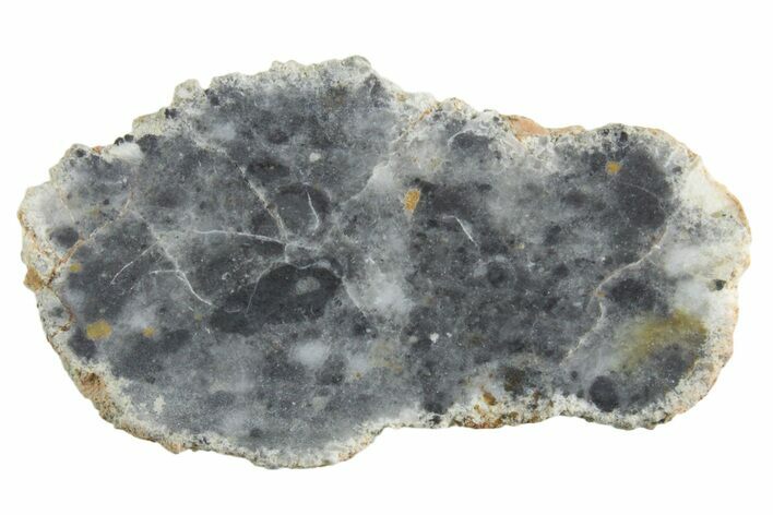 Lunar Meteorite ( g) Slice - Bechar #348174